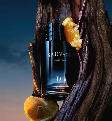 recarga dior sauvage|DIOR Sitio Oficial .